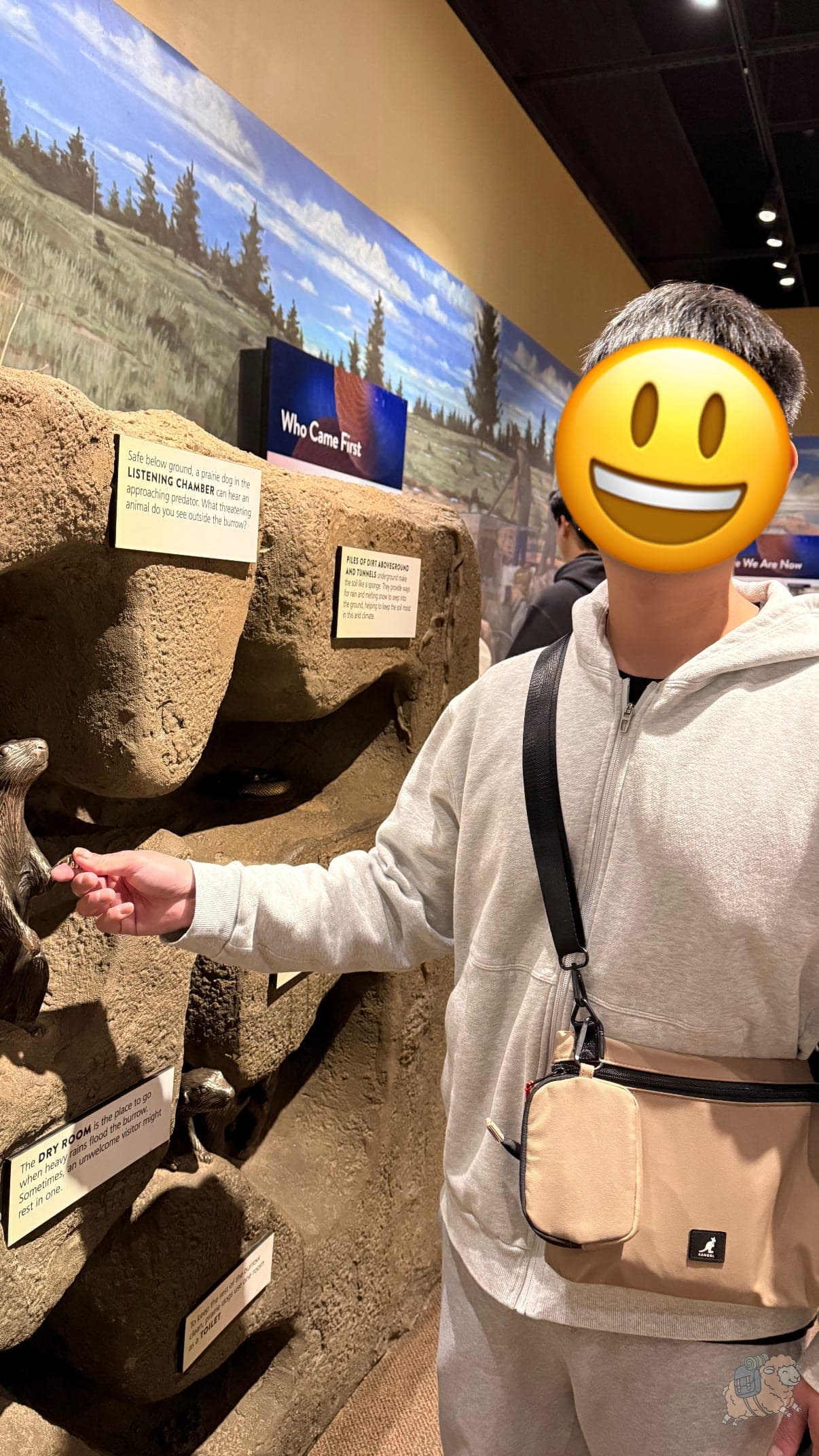 布萊斯峽谷國家公園遊客中心 Visitor Center 內介紹公園裡有的野生動物