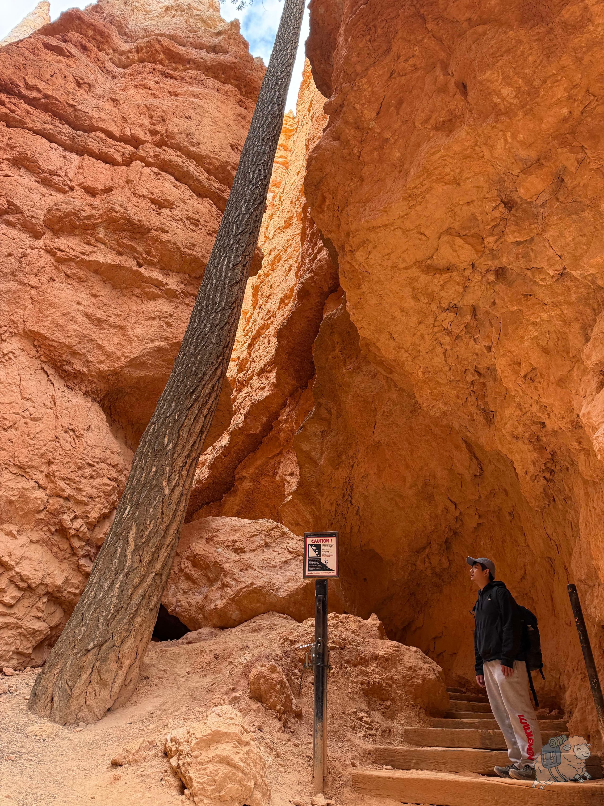 布萊斯峽谷 Navajo Loop 那瓦霍步道超好玩,鑽來鑽去很有探險的感覺