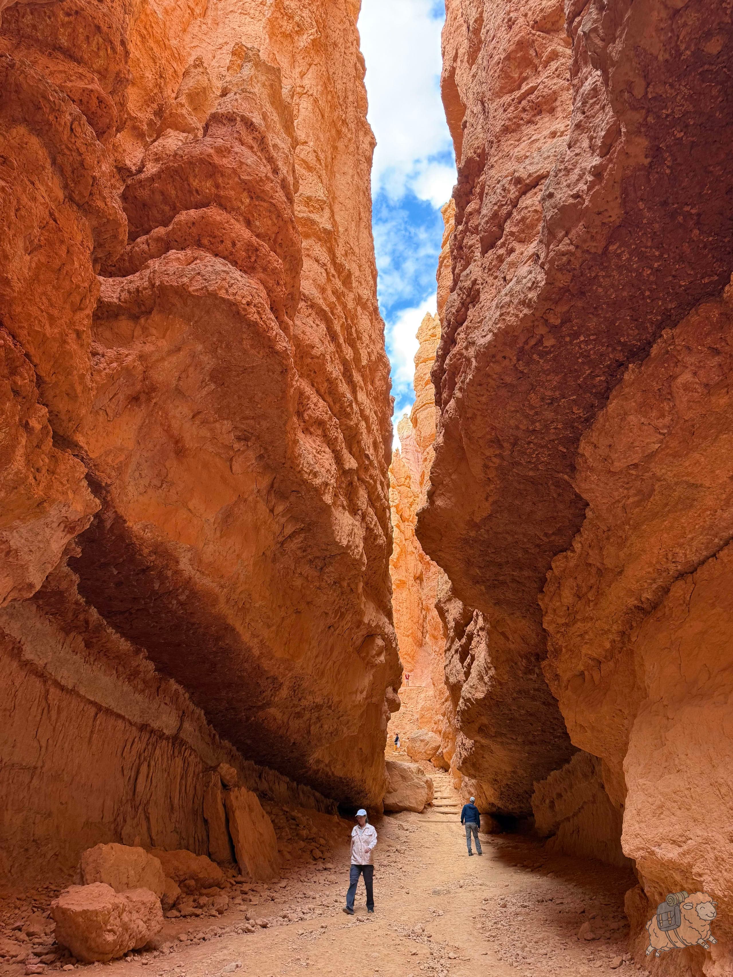布萊斯峽谷 Navajo Loop 那瓦霍步道的一線天。