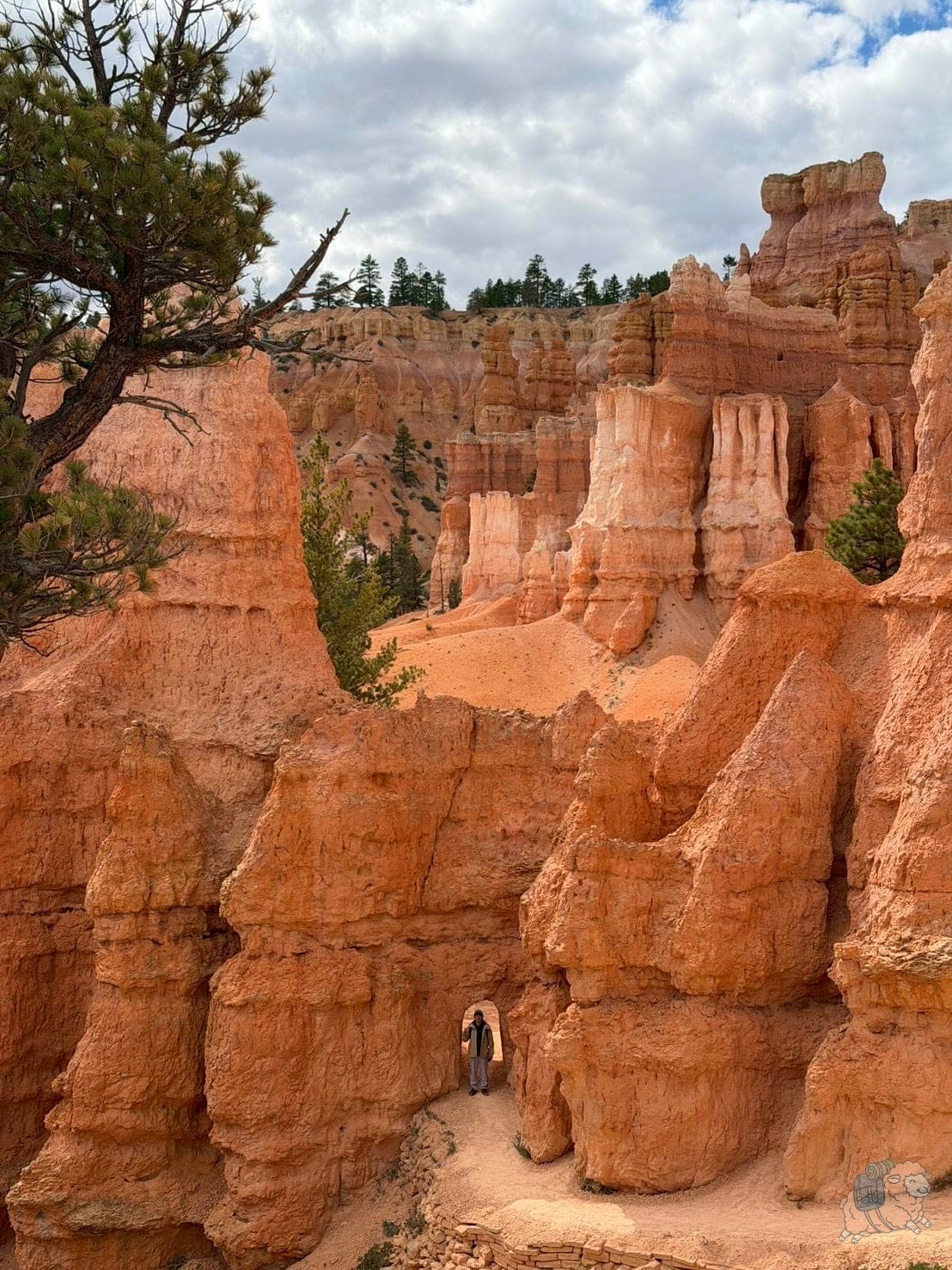 布萊斯峽谷 Bryce Canyon - 漂亮到以為是假的佈景