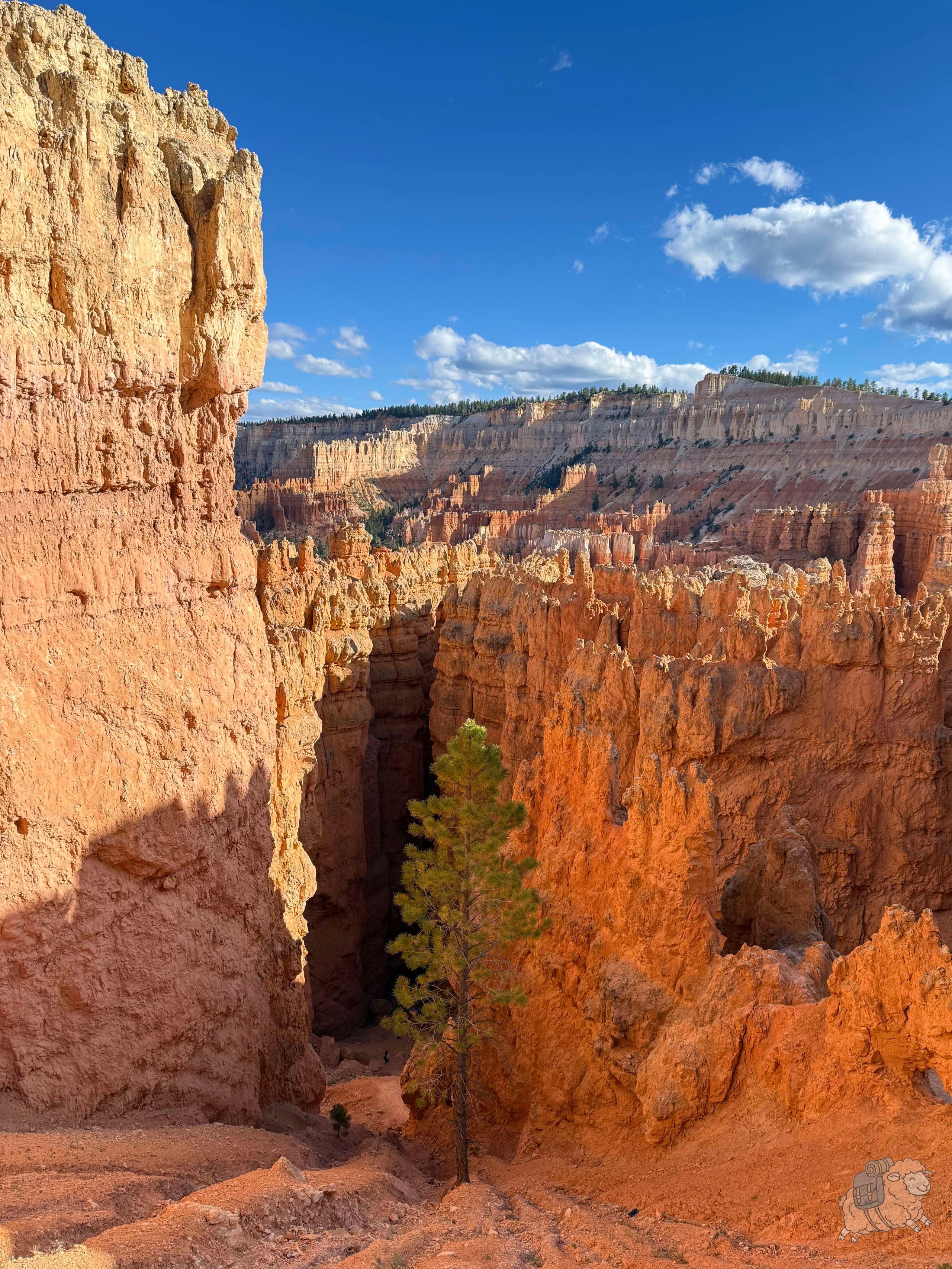 布萊斯峽谷 Bryce Canyon - 是我的錯覺還是這一切真的在閃閃發光嗚嗚,太美了