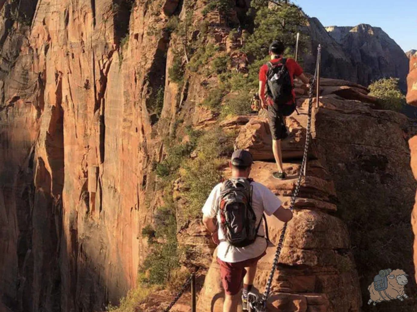 錫安國家公園 Angels Landing - 山脊線上大概長這樣,這是我在國家公園官網的圖,因為我當時不敢放開手拍照