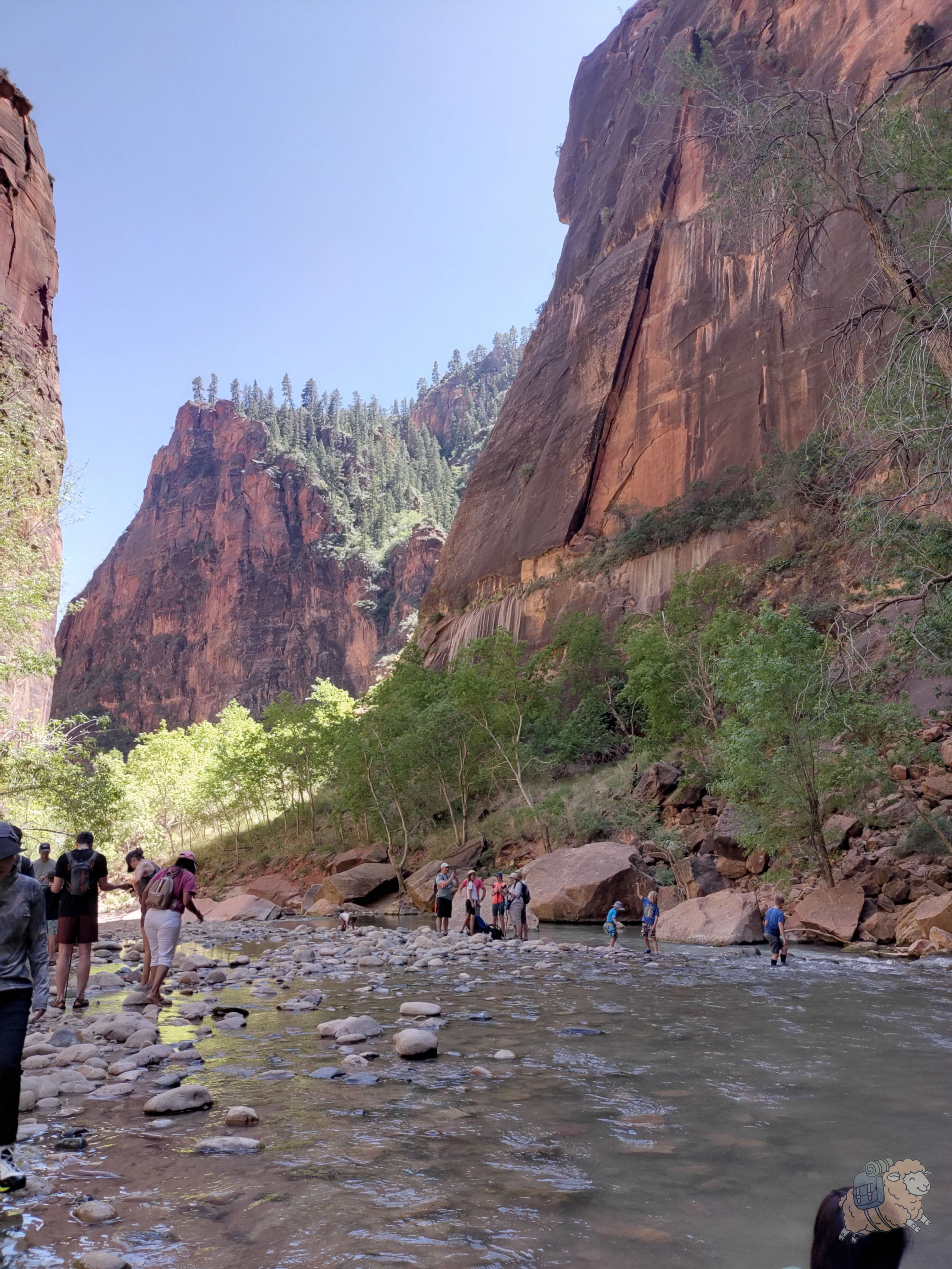 錫安國家公園 The Narrows 入水點!一開始水還很淺,會隨著越來越往上游,逐漸變深。