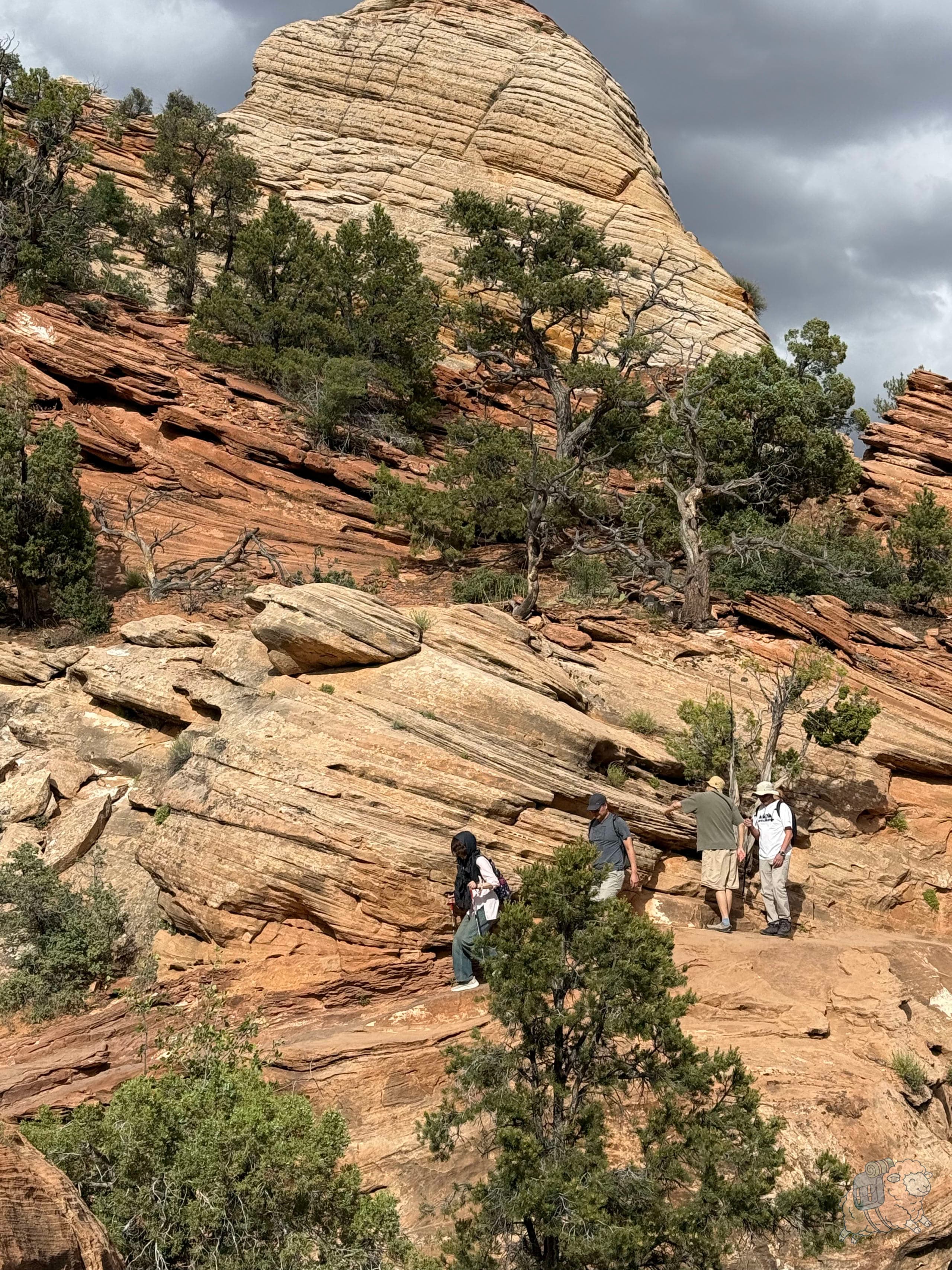 錫安國家公園 Canyon Overlook Trail一角,中途也有很都有意思的地質景觀!