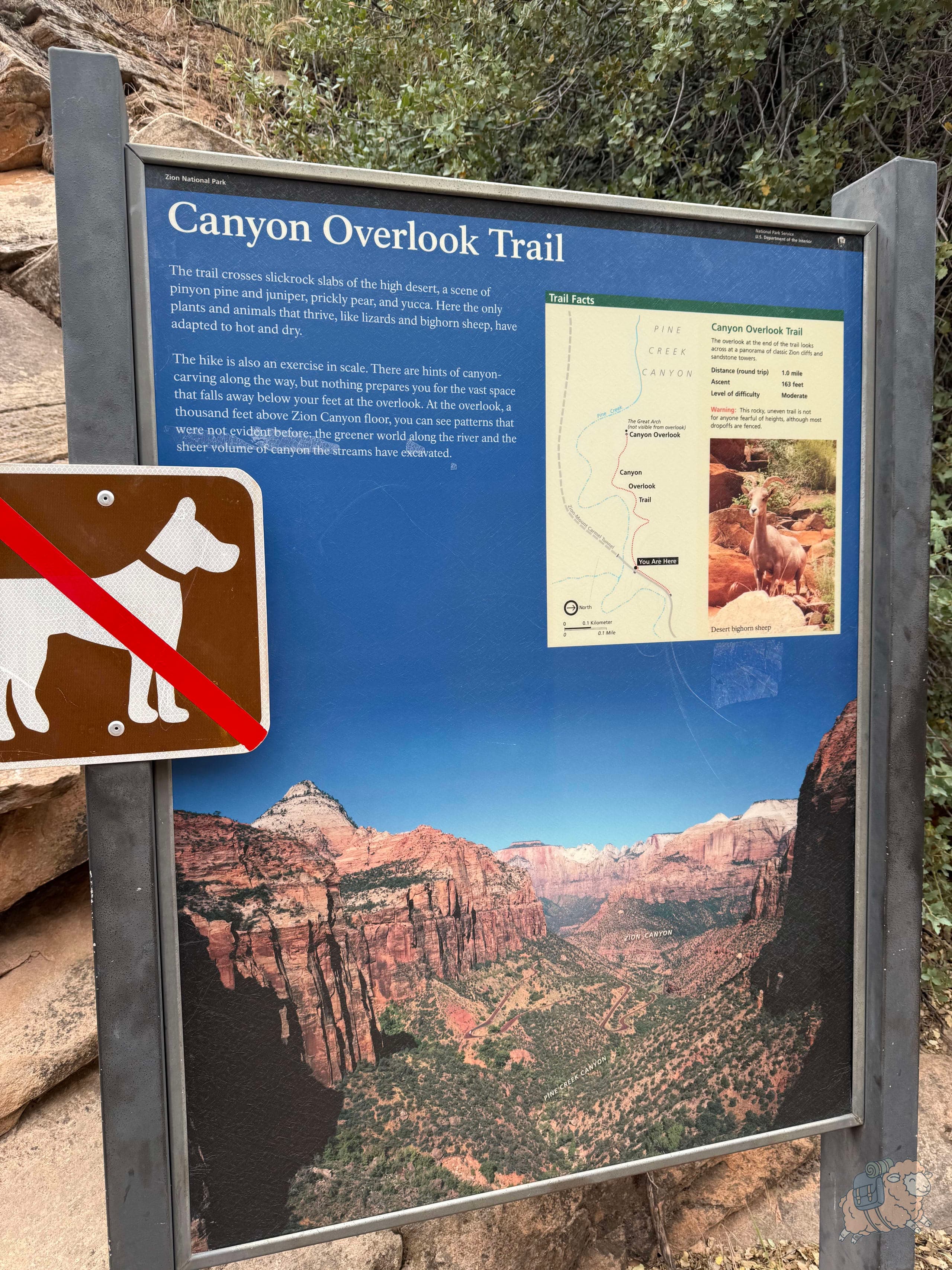 錫安國家公園 Canyon Overlook Trail 的起點。