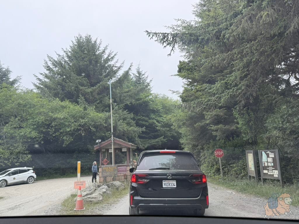 紅木國家公園 - 蕨類峽谷 (Fern Canyon) 檢票閘門。