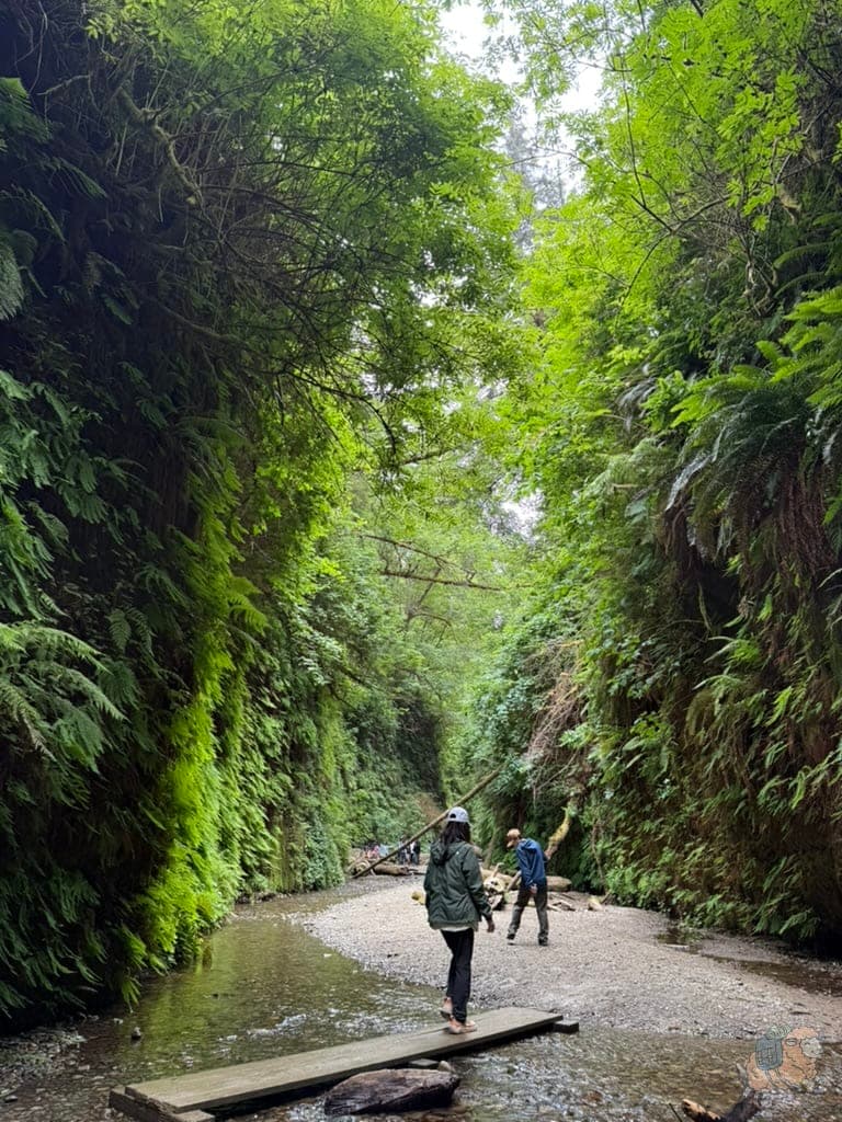 越往裡面,峽谷越收窄