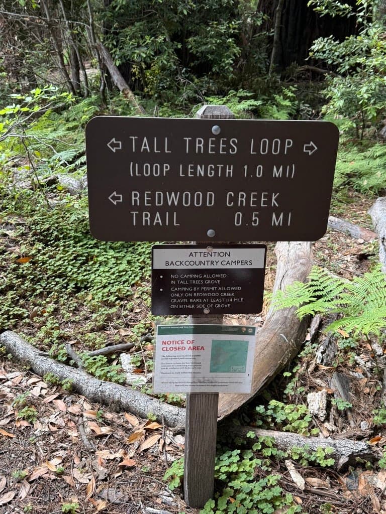 高樹步道。我們按照路牌指示,沿著Tall Trees Loop走一圈。