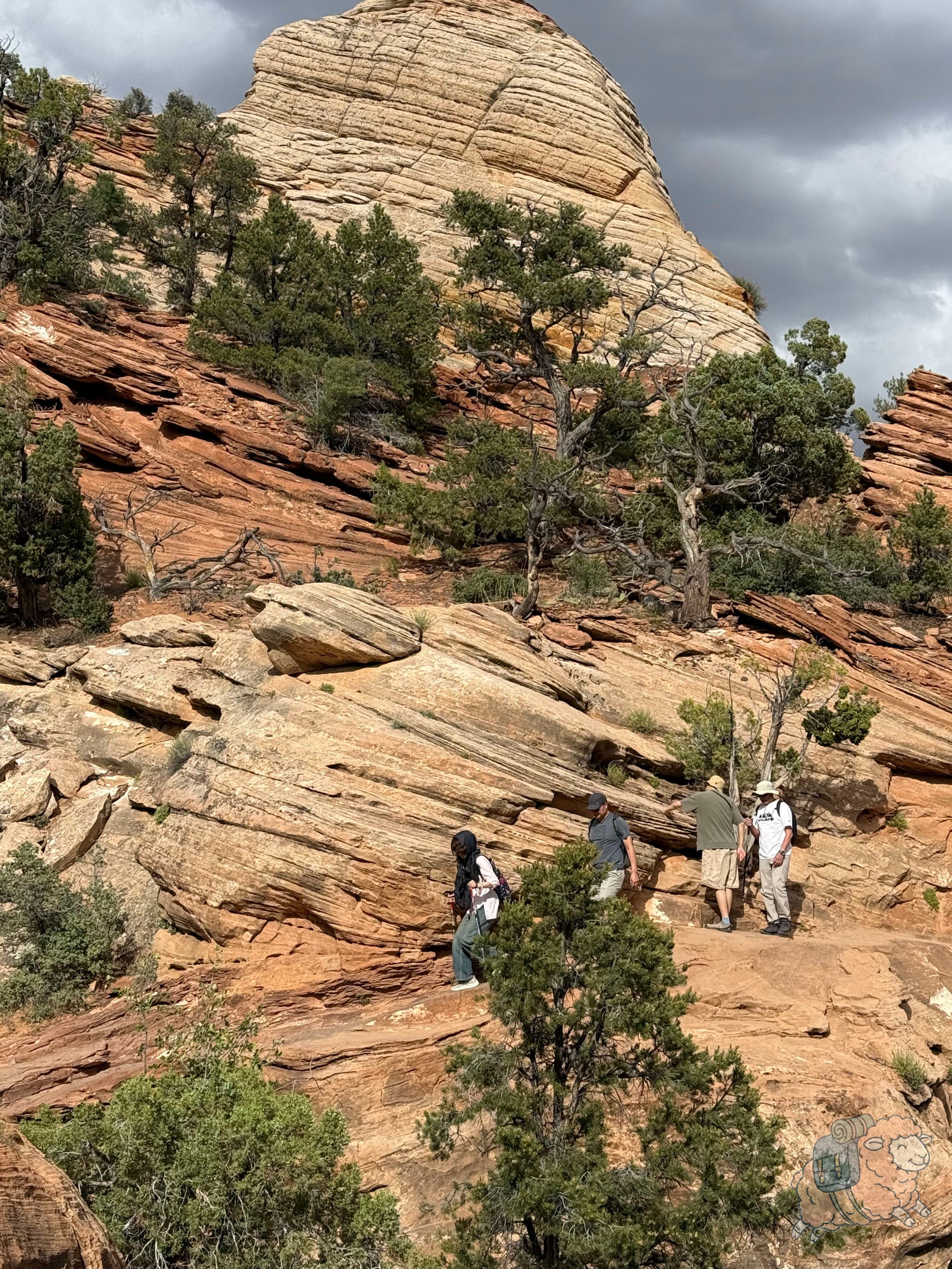 Canyon Overlook Trail一角,中途也有很都有意思的地質景觀!