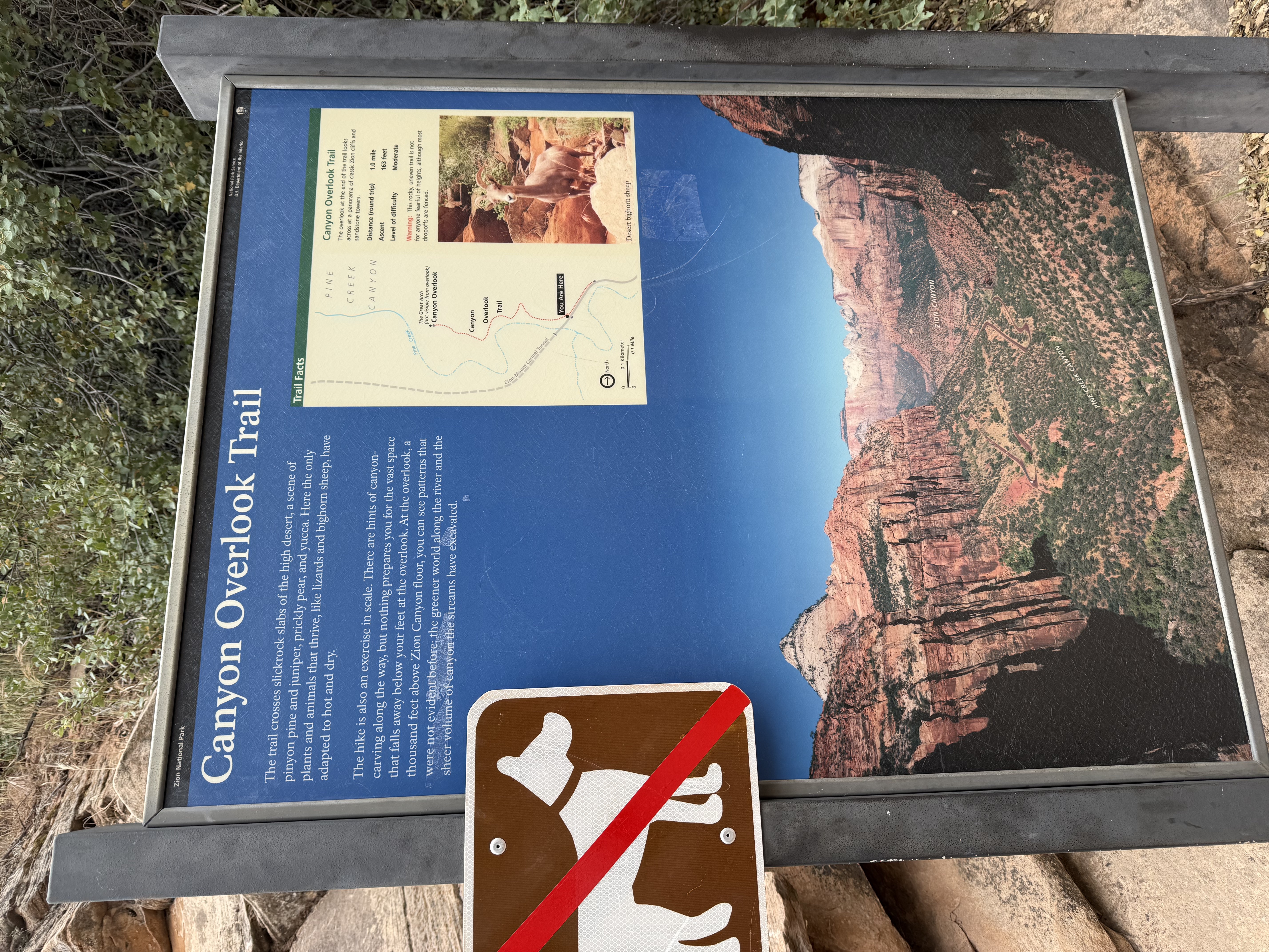 Canyon Overlook Trail的起點。