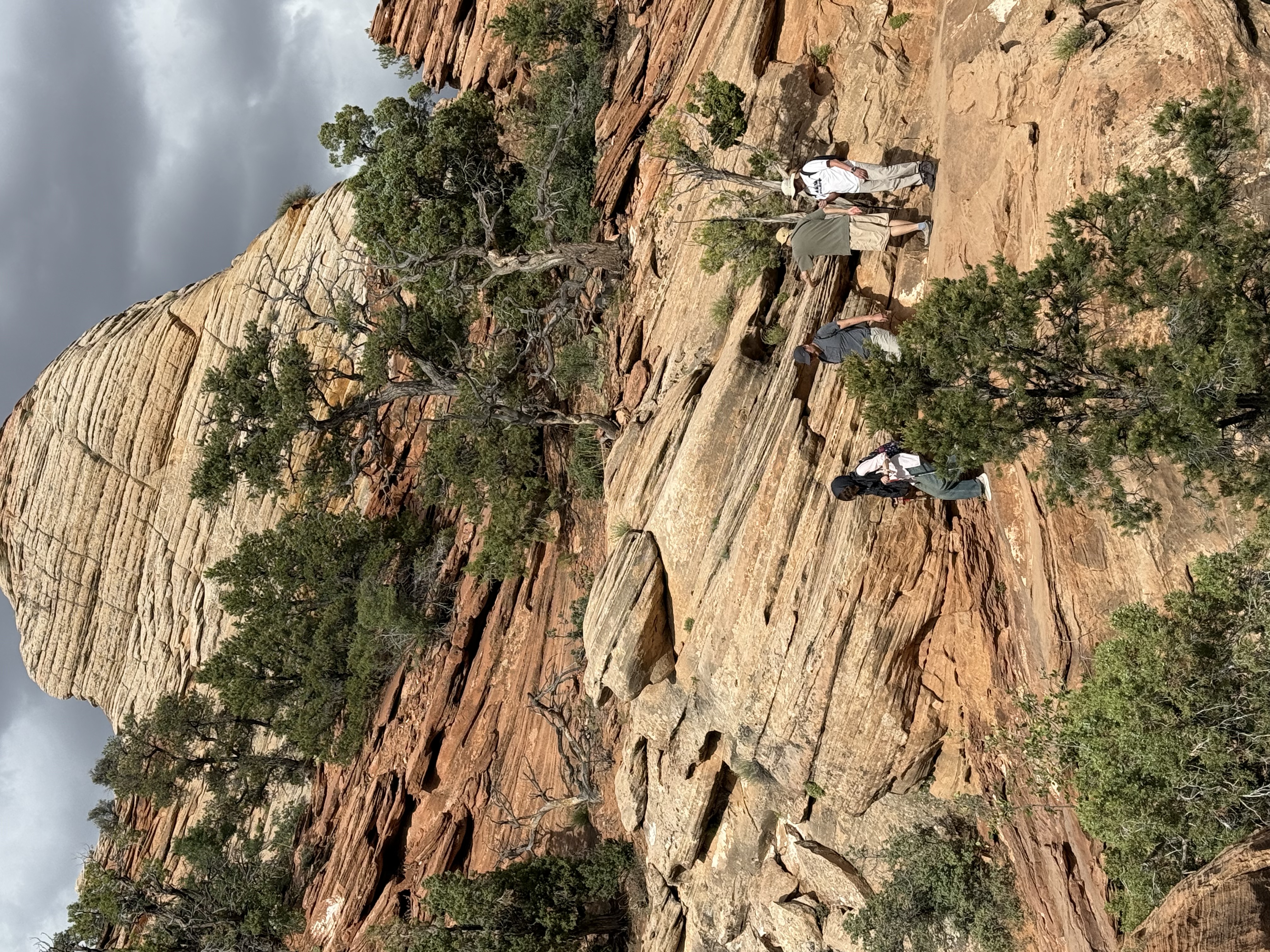 Canyon Overlook Trail一角,中途也有很都有意思的地質景觀!