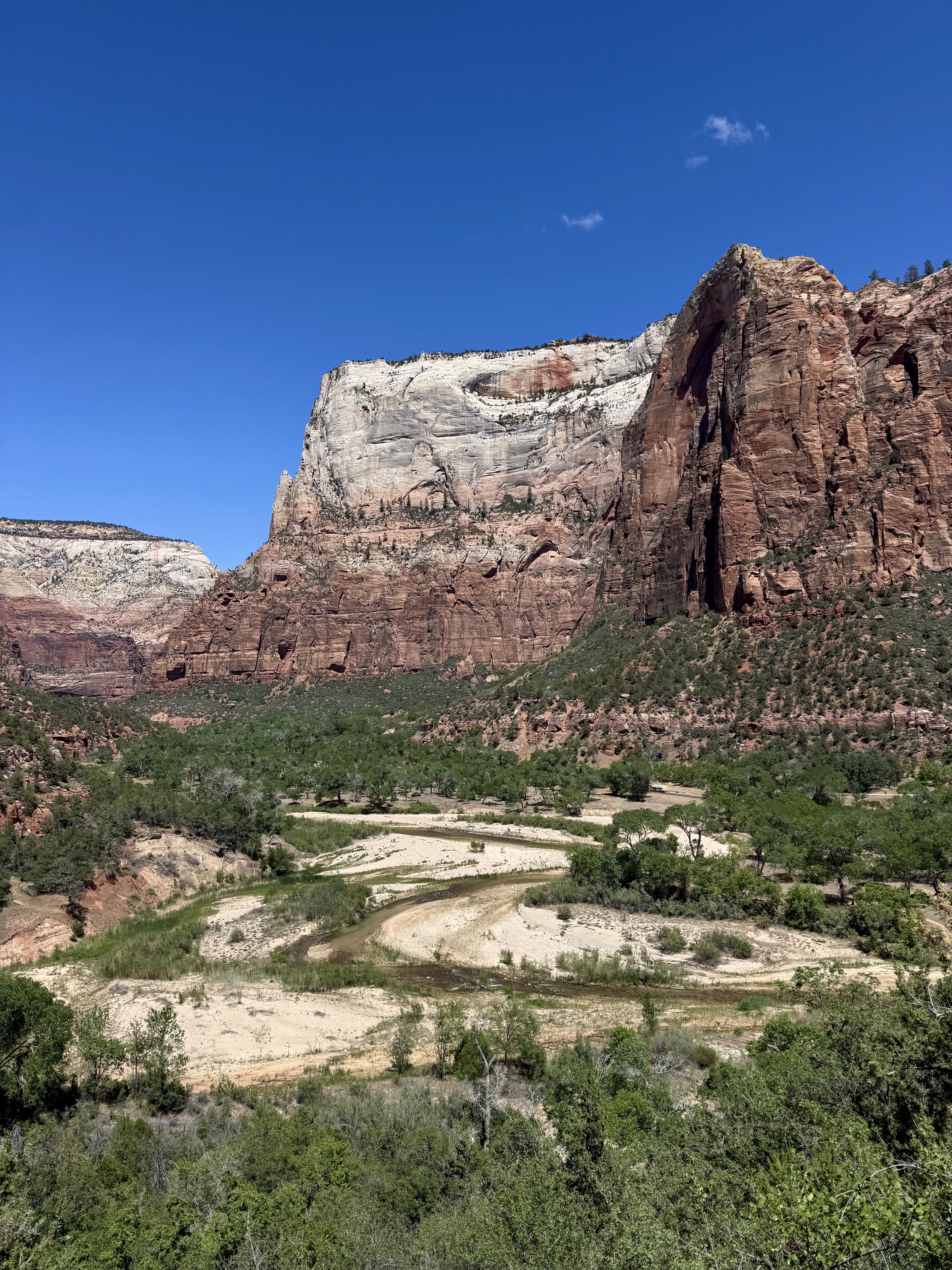 Emerald Pools Trail一角,後方大岩壁和下方徐徐的小溪,簡直是構圖完美的畫